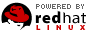 Web Hosting